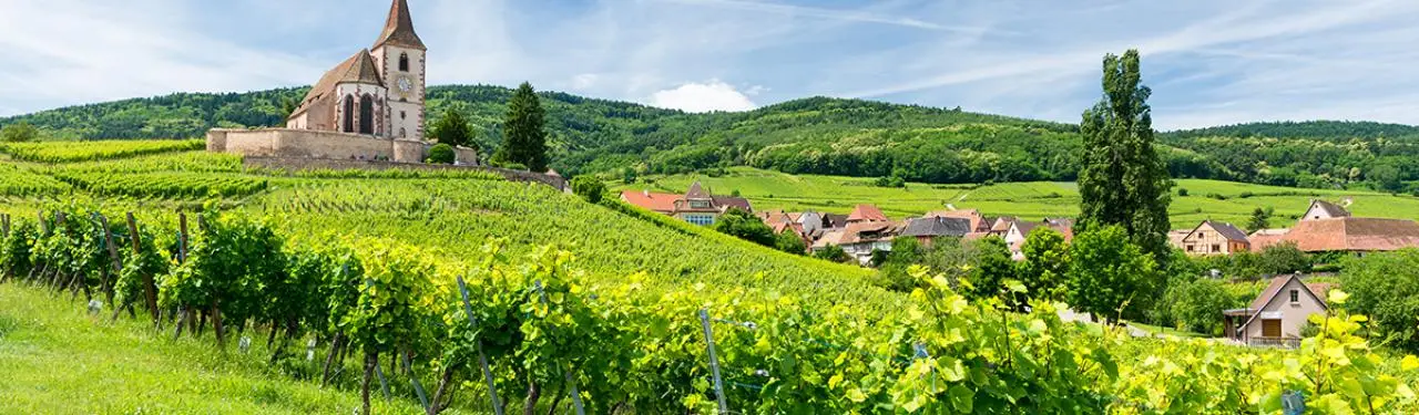 colline de Bollenberg Alsace